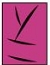 komachi-logo.jpg